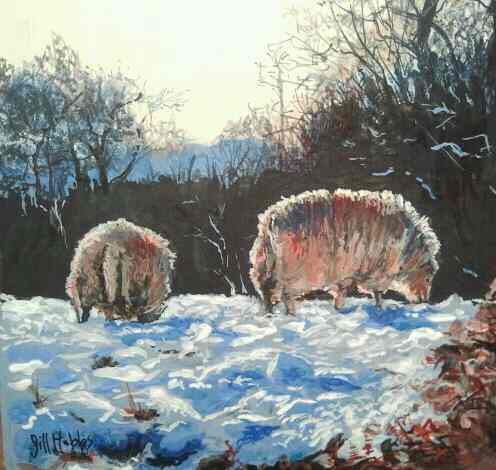 Sheep near the Monmouthshire and Brecon canal in Cwmbran. Acrylic. £65.