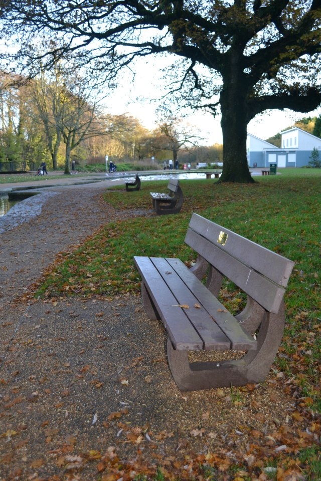 The bench at Cwmbran Boating Lake