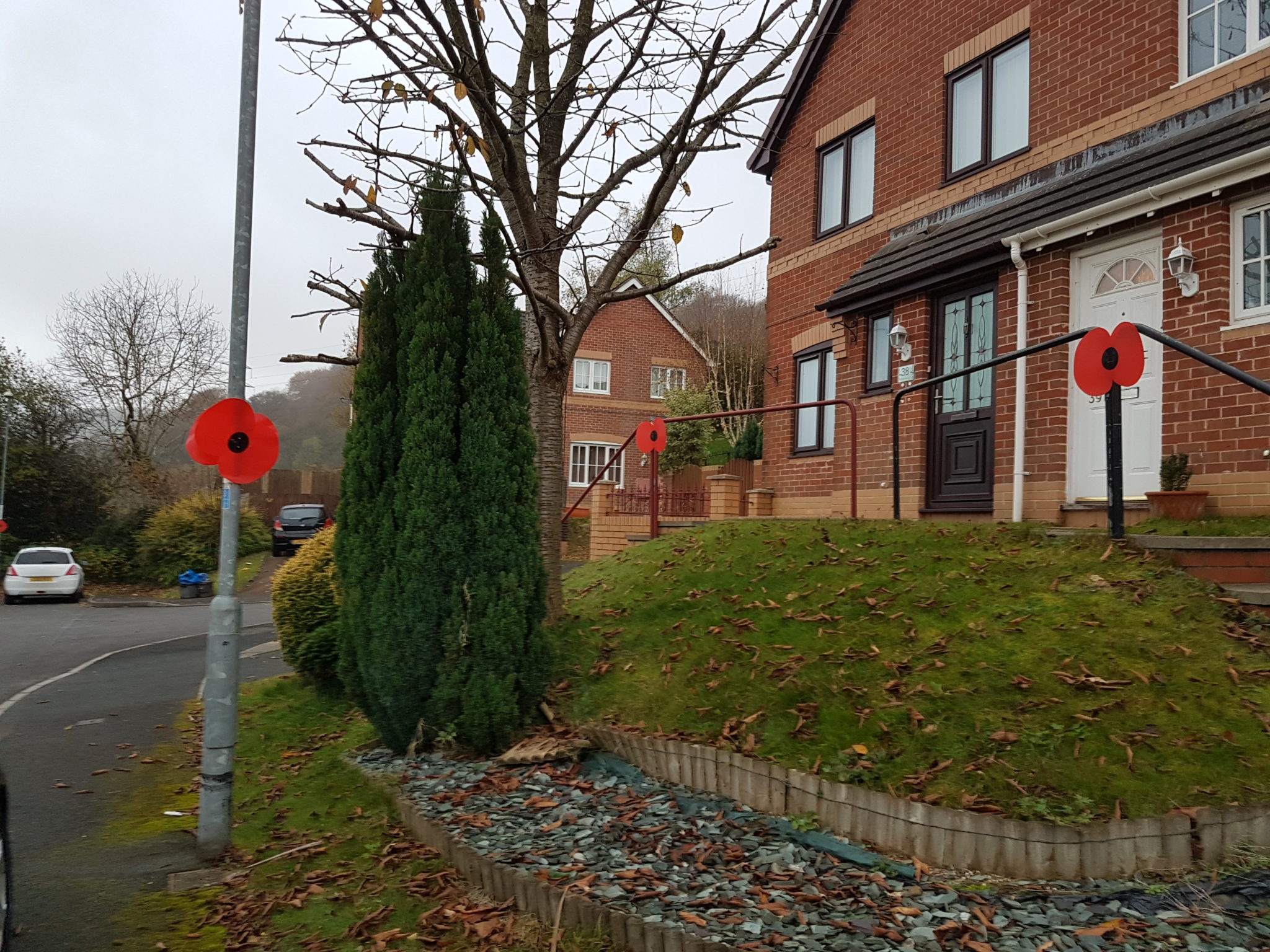 Poppies have been put on lampposts in Rosemead in Cwmbran
