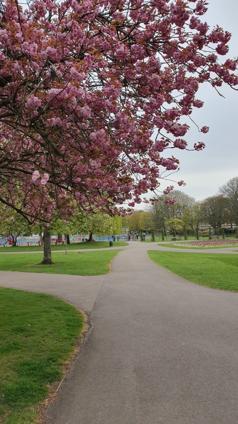Victoria Park in Cardiff
