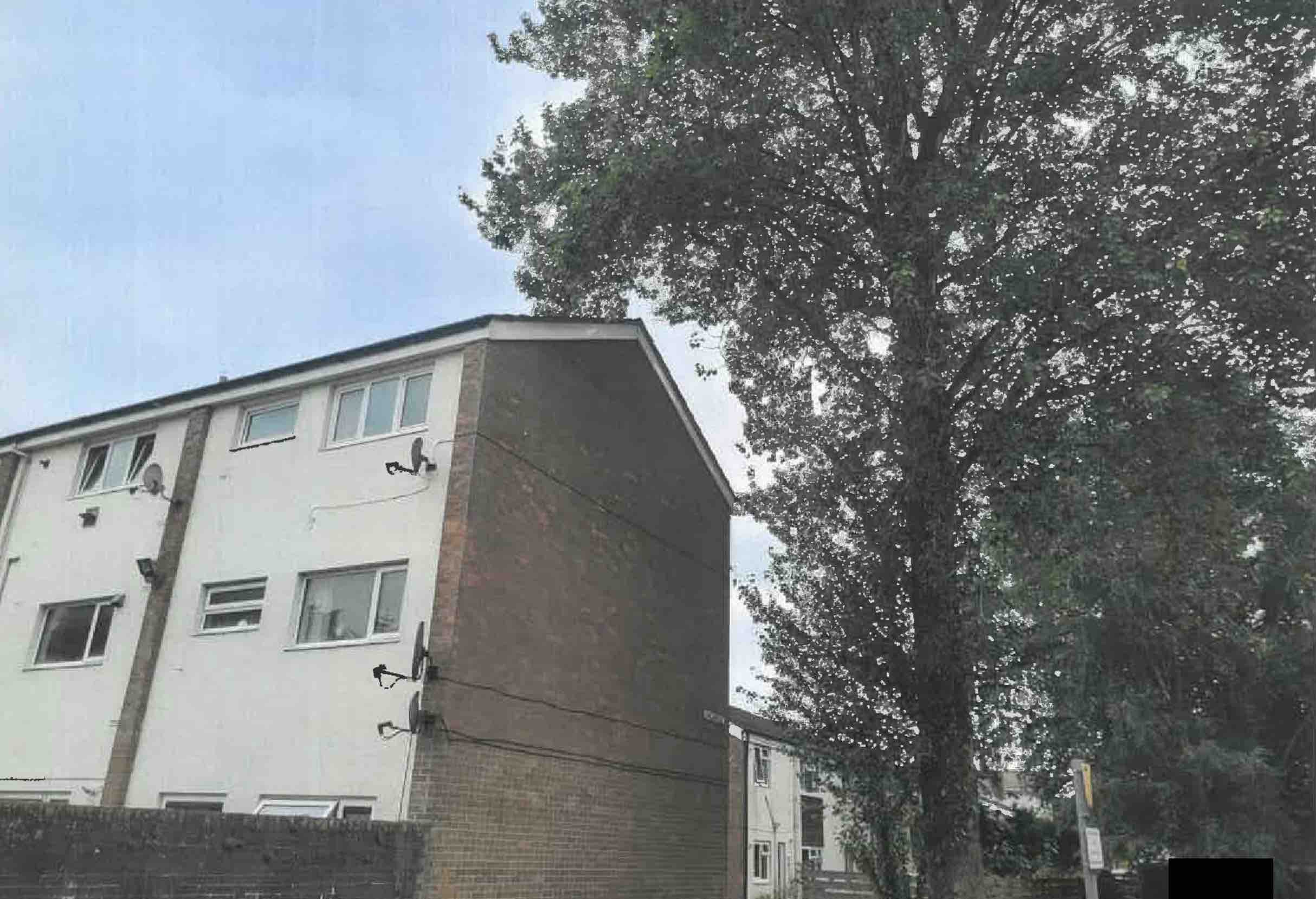 a tree by a block of flats