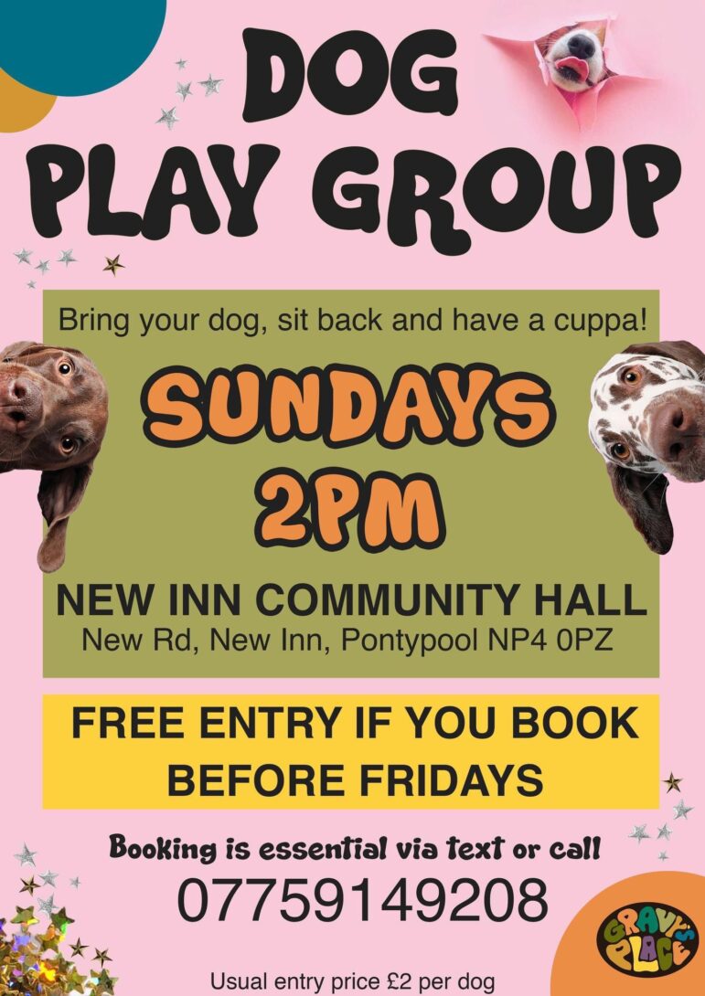 poster for dog play group