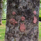 a tree with clay artwok stuck to it including hedgehogs, owls and squirrels