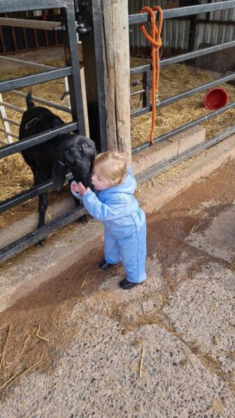 a child stood by a goat