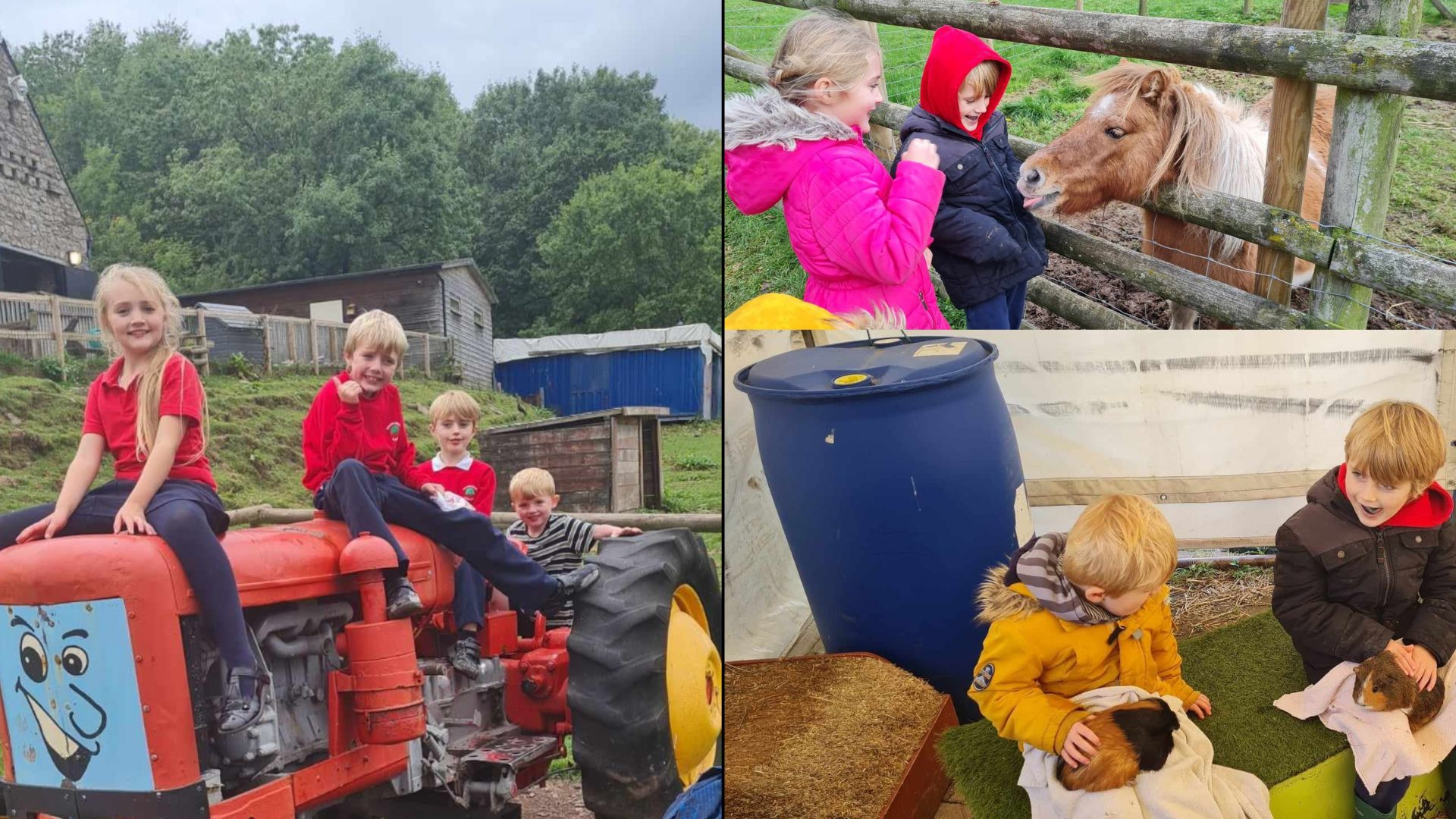 a collage of pics of children playing at a farm