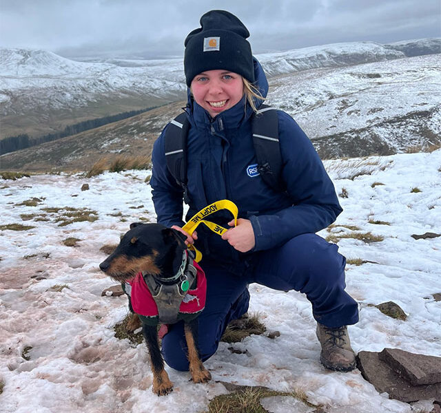 dog and woman on pen y fan