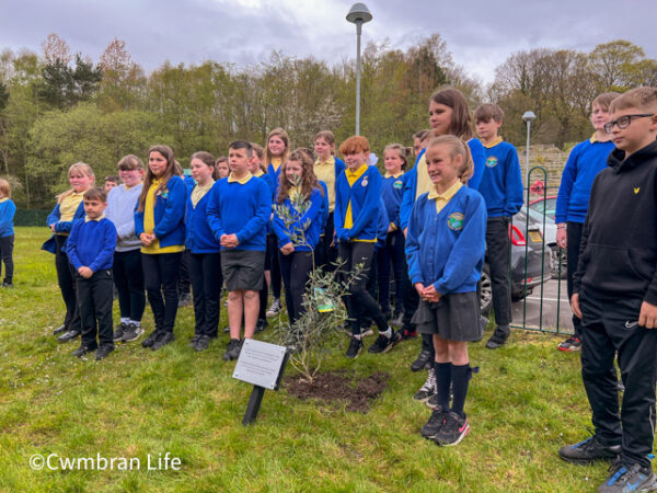 Torfaen pupils plant olive tree to remember Stephen Lawrence