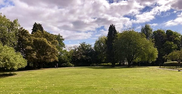 tress and grass area in Pontnewydd Park