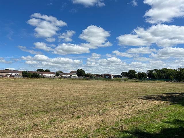 a grass school playing field
