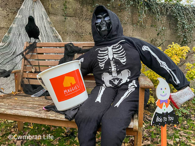 a toy skeleton on a wooden bench with a charity bucket