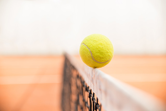 Tennis ball on a net