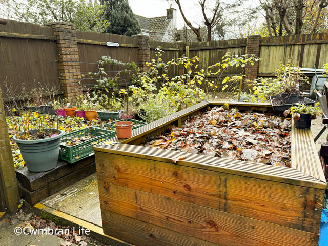 a garden with raised beds