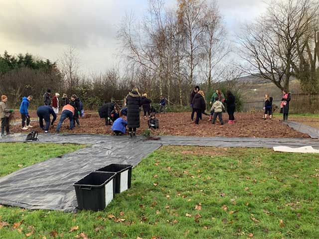 children and teachers planting trees