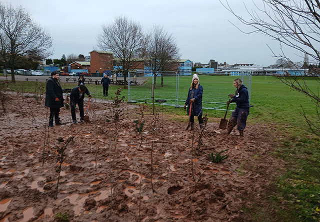 four people plan trees