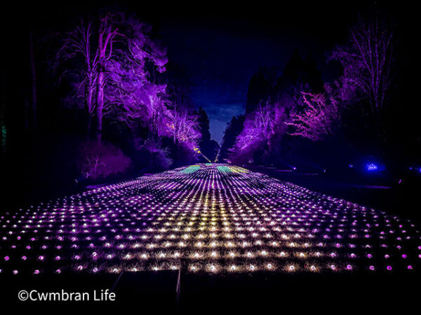 Westonbirt, The National Arboretum: The Christmas lights trail