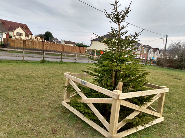 a christmas tree in a field