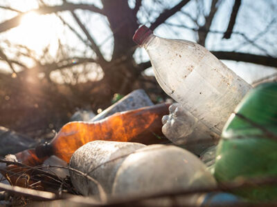 Car litter louts can’t be prosecuted, councillors told