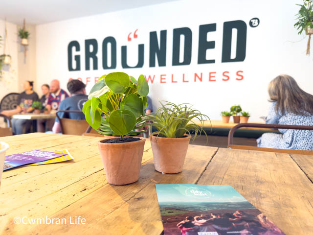 a wooden table with plants in a coffee shop -on the wall it says Grounded