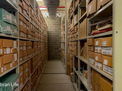 ‘We hold the stories of people’: A look around Gwent Archives in Ebbw Vale