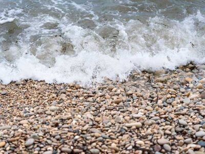 Tidal power plan for Severn Estuary being progressed, says council leader