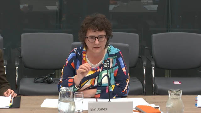 Elin Jones MS