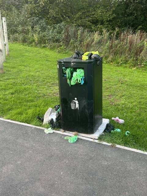 a bin overflowing with litter and dog poo bags
