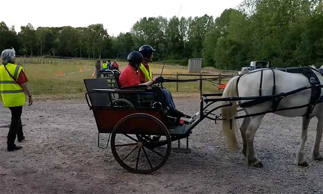 a rider on a carriage behind a horse