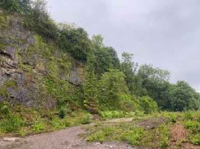 a wooded area next to a steep hill