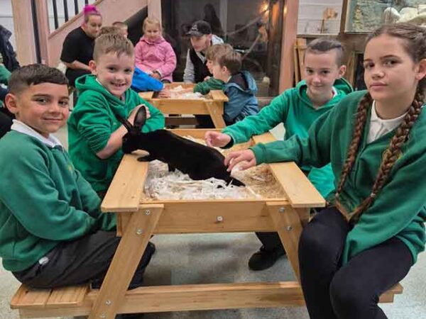 Visitors to Greenmeadow Community Farm have ‘sky rocketed’, councillors told