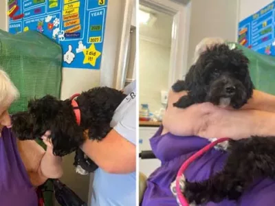Dora becomes a regular visitor at Thistle Court Care Home