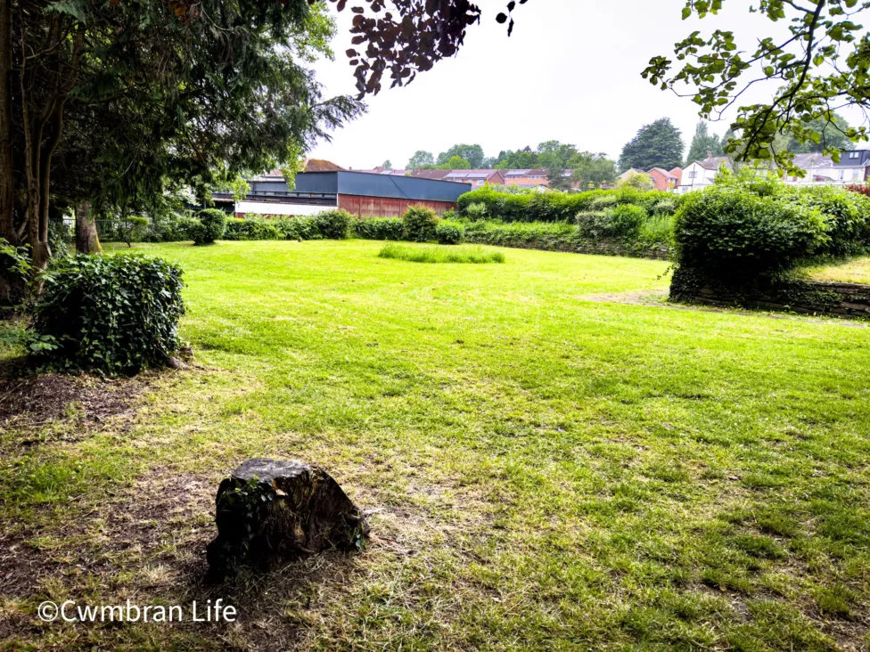 a grassed area in a park