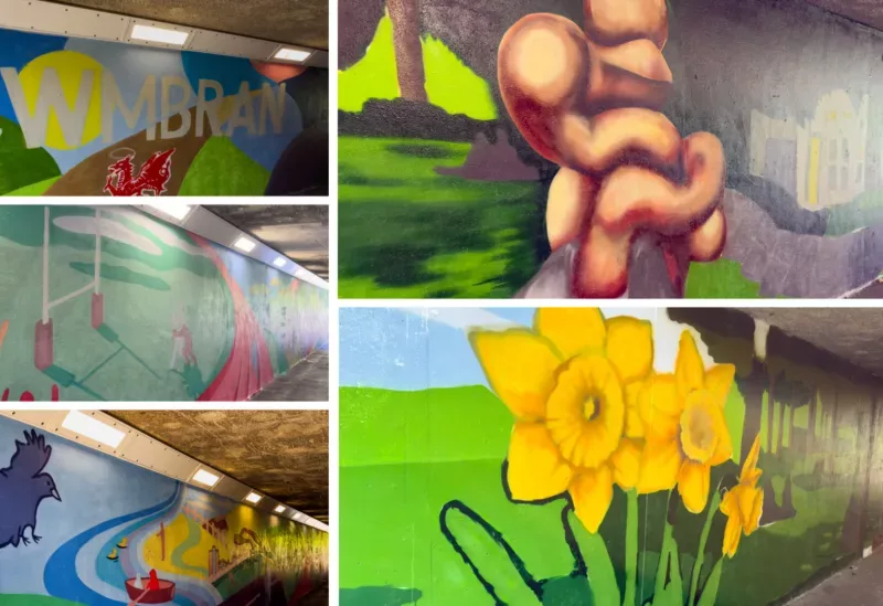 images of bright murals of daffodils, rugby pitch, a river and the wording- Cwmbran