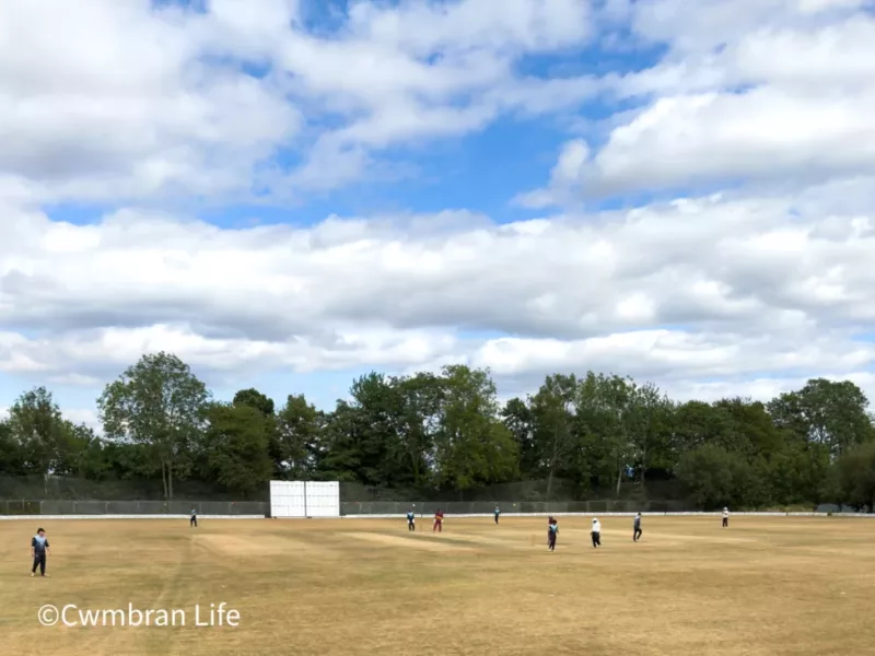 players in a cricket match on a sunny day