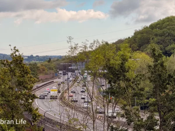 Senedd clash over third Menai crossing and M4 relief road